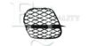 EQUAL QUALITY G2570 Ventilation Grille, bumper